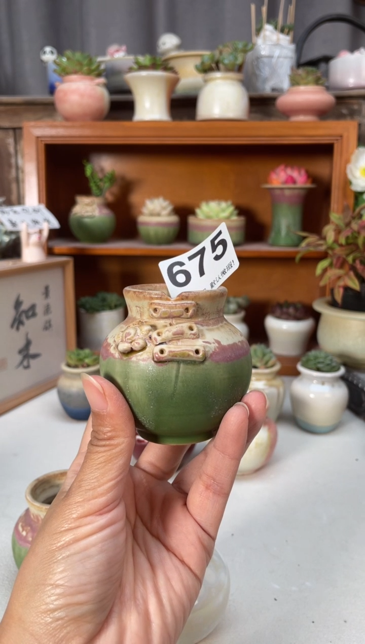 瓷片想****片675知木小芳花盆