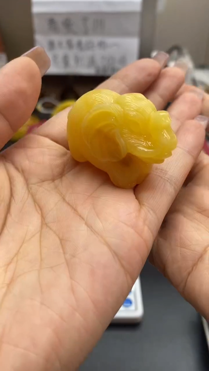 琥珀未镶嵌珠宝奇石1100