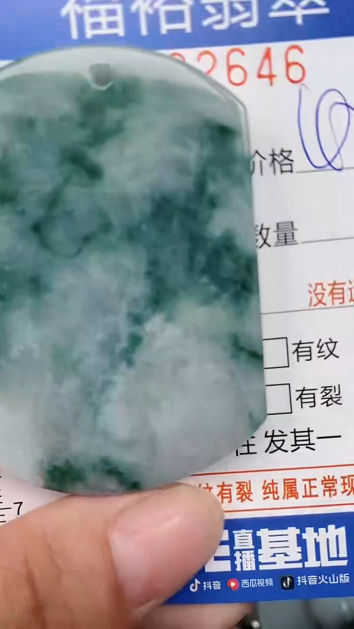 翡翠未镶嵌颈饰...0002646