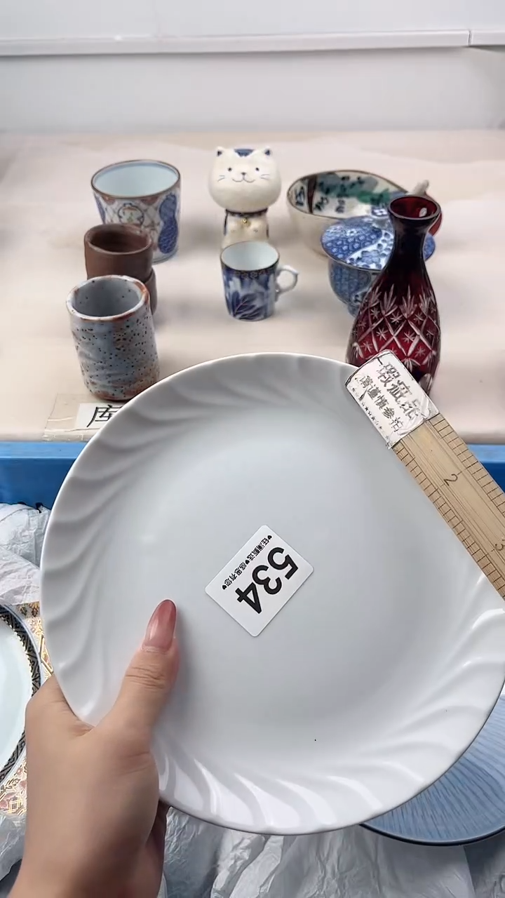 瓷片1**X534，，，，，，，，