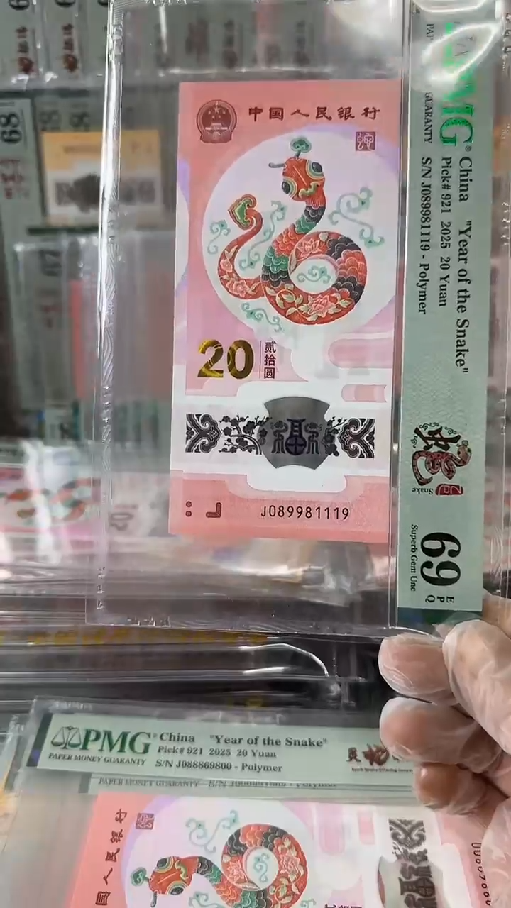 塑料089981119-蛇钞单张
