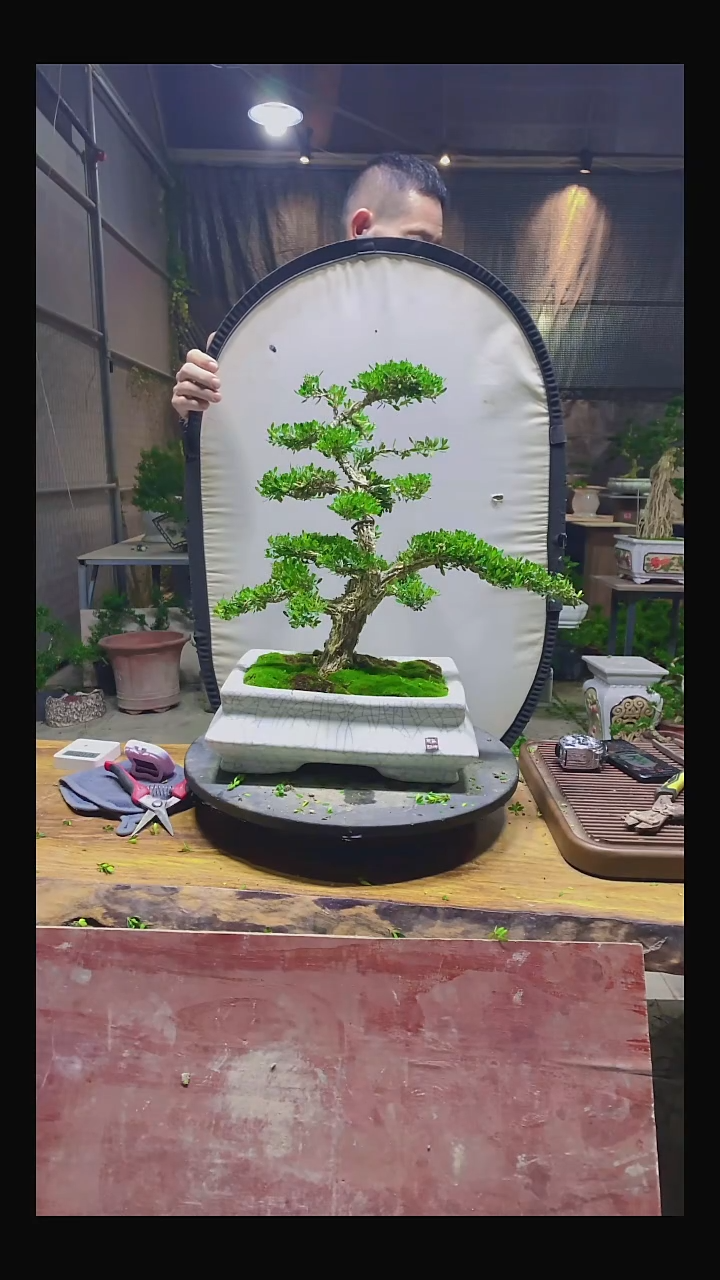 完全开放王**T111111111111