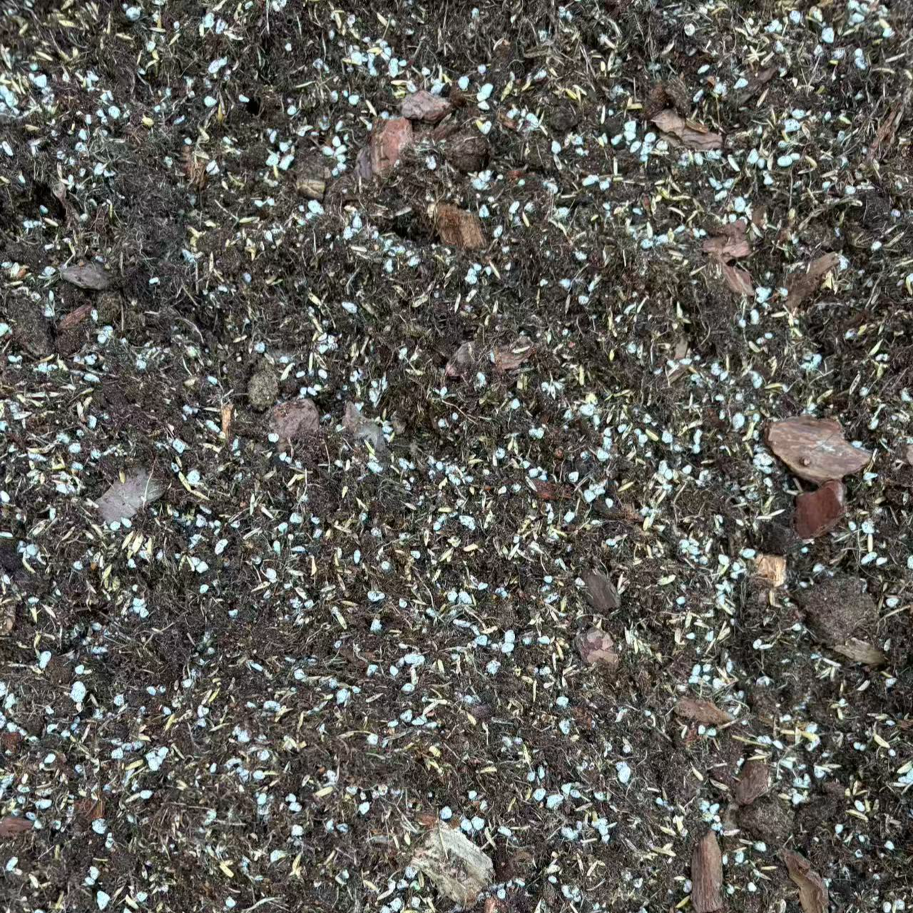 蓝莓专用土蓝莓盆栽营养土瓜果树通用土壤草莓盆栽种植土有机土