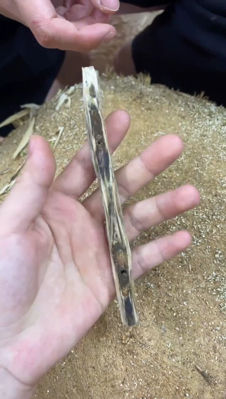 【闪购商品】沉香木沉香碎屑棋楠沉香 原料文创1