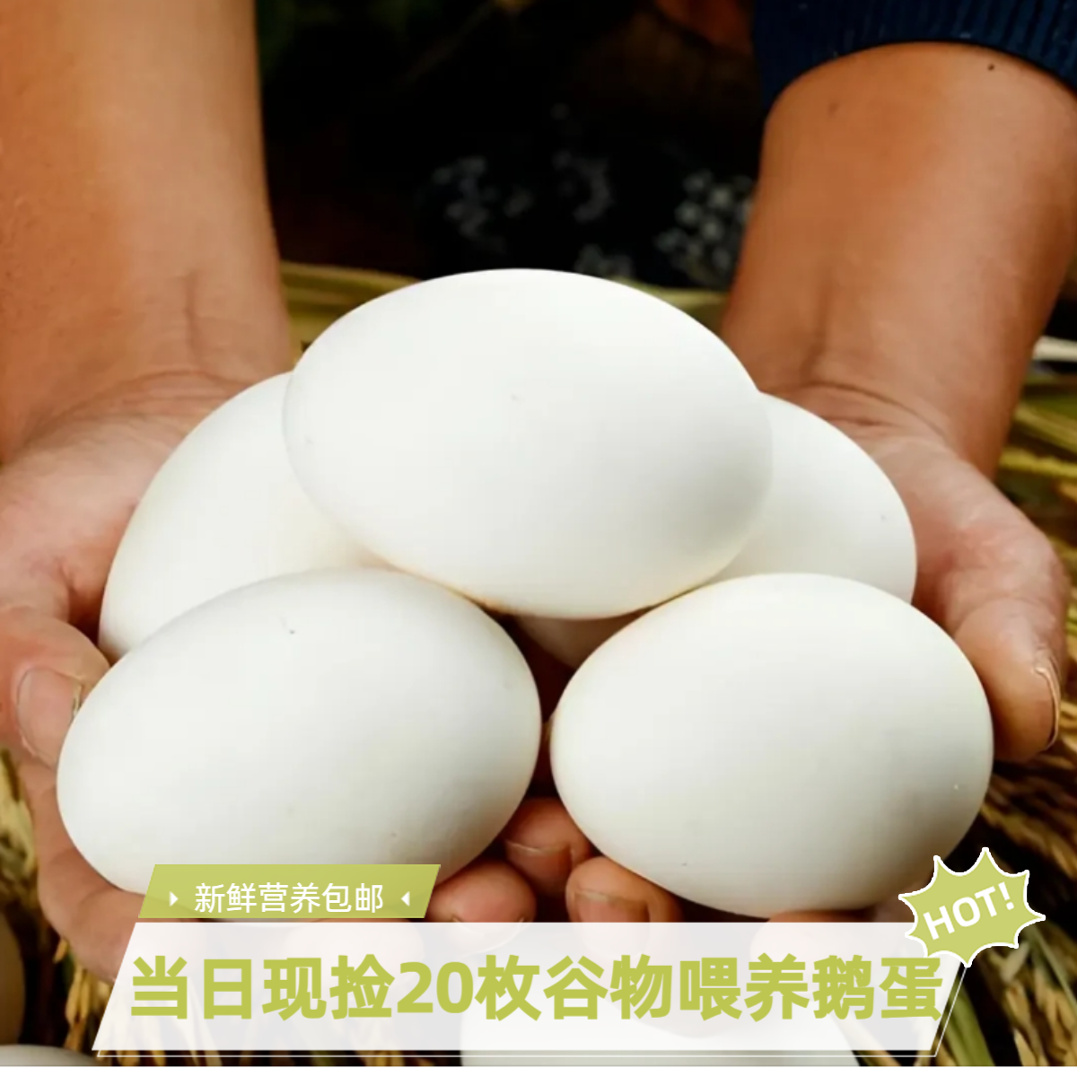 【破损包赔】新鲜营养土鹅蛋谷物喂养大鹅现捡现发包邮20个雁鹅蛋