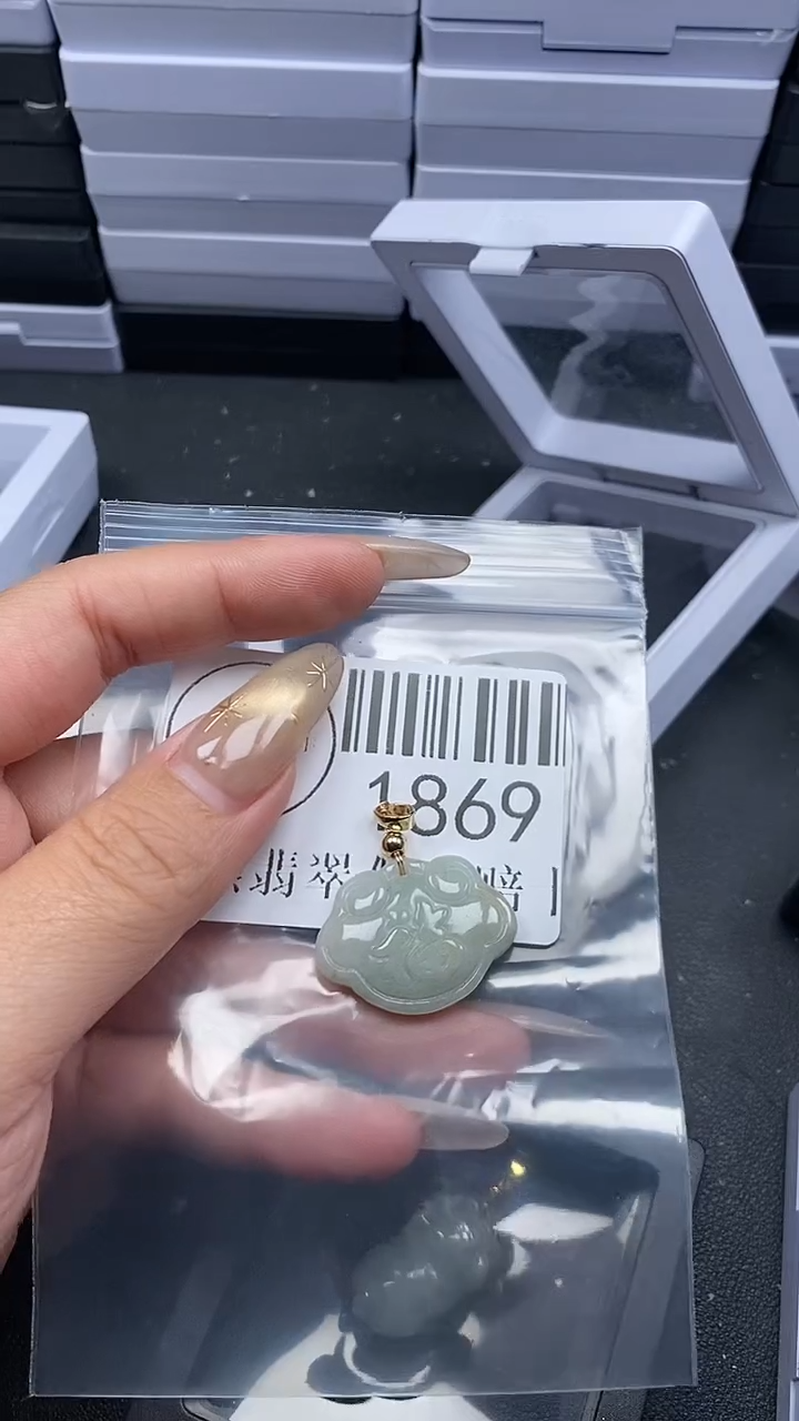 颈饰未镶嵌翡翠1869