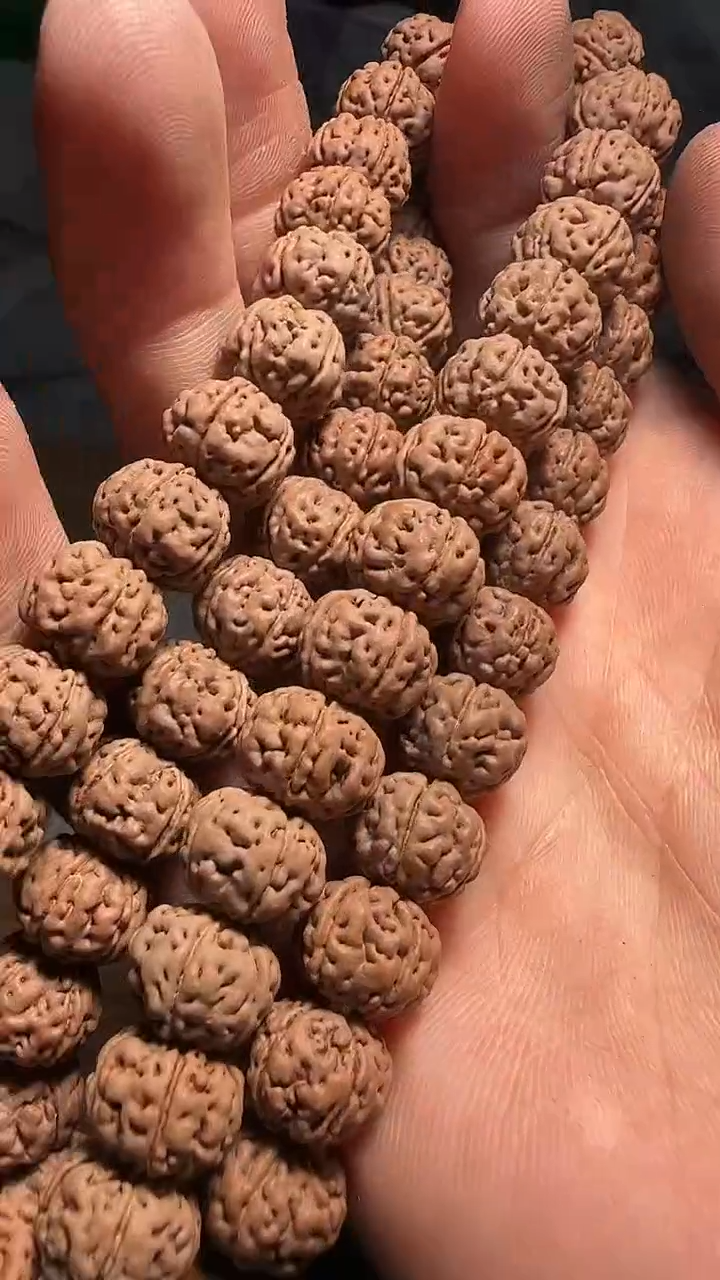 金刚菩提手串头货老树王单圈11mm