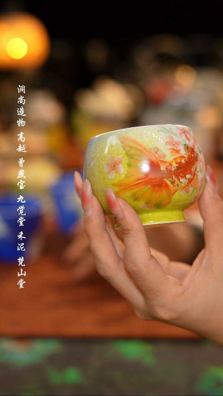 金鱼杯··········