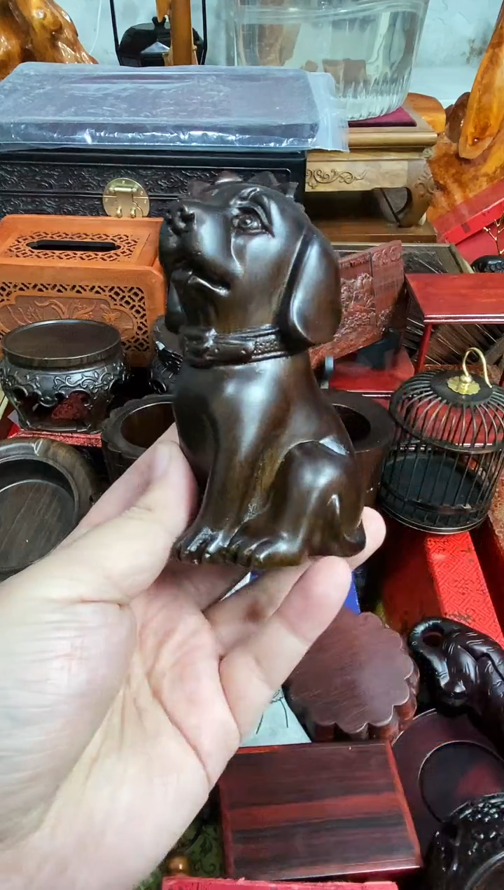 木狗直播推荐直播推荐