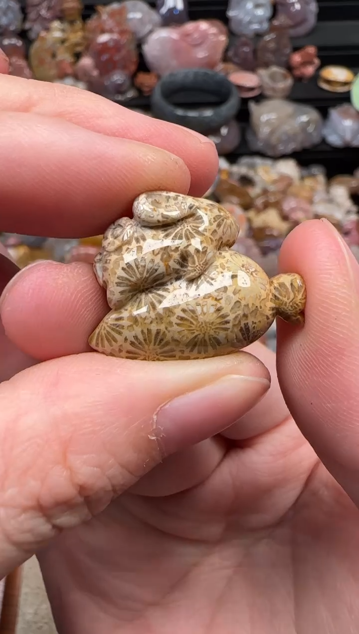 颈饰未镶嵌硅化珊瑚（珊瑚玉）050