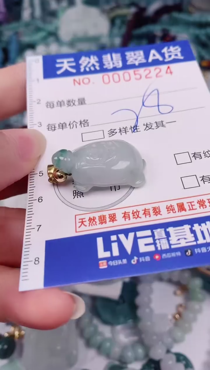 颈饰未镶嵌翡翠00005224