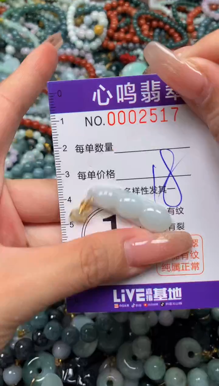 颈饰未镶嵌翡翠闪购002517