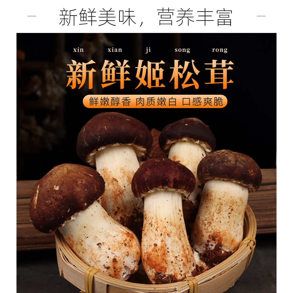 5斤装拍一斤送1斤赤松茸新鲜菌鲜松茸菌菌菇煲汤产地直采菌