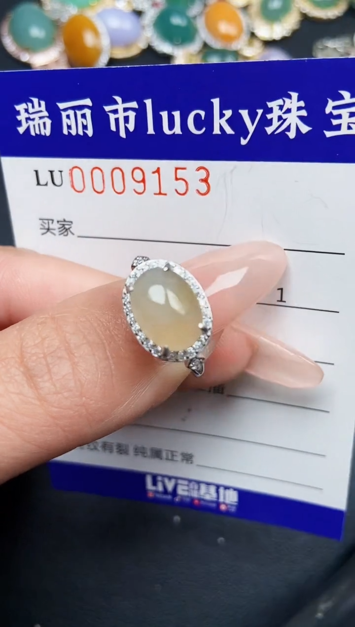 【闪购商品】翡翠颈饰银S925镶嵌9153