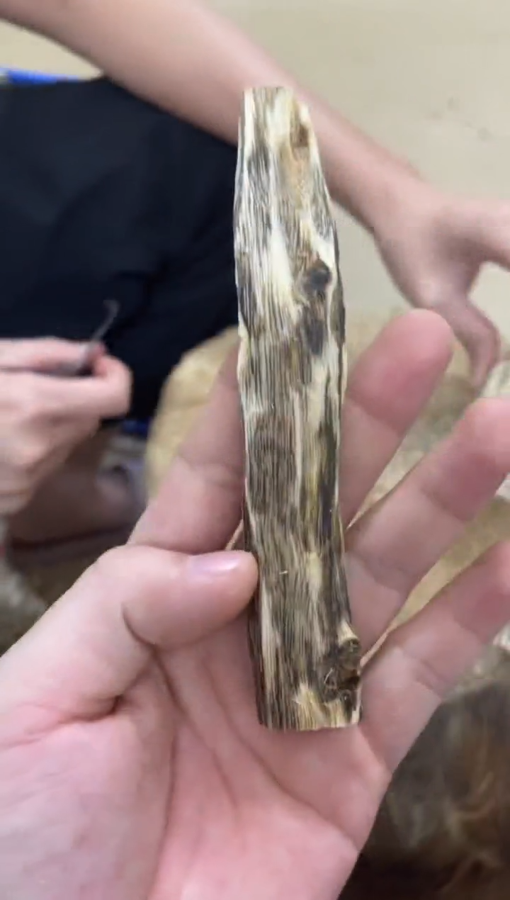 沉香沉香碎屑棋楠沉香 原料文创1