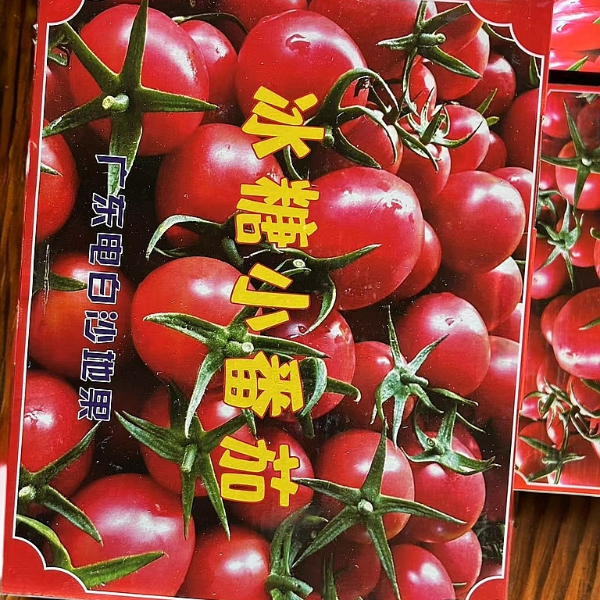 【买一盒送一盒】冰糖小番茄1500g左右/盒