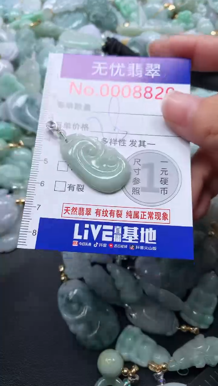 颈饰未镶嵌翡翠8820