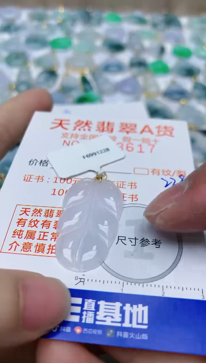 【闪购商品】翡翠颈饰18K金镶嵌天然翡翠A货   229 