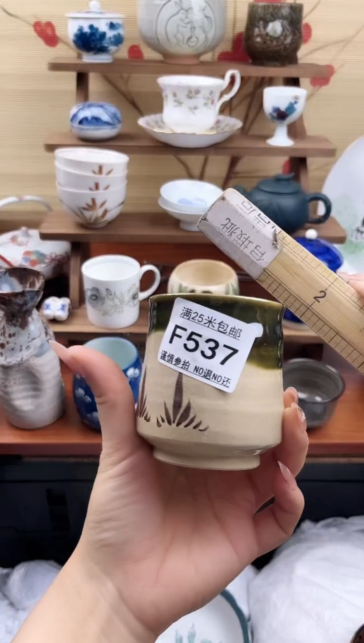 【闪购商品】f537==============