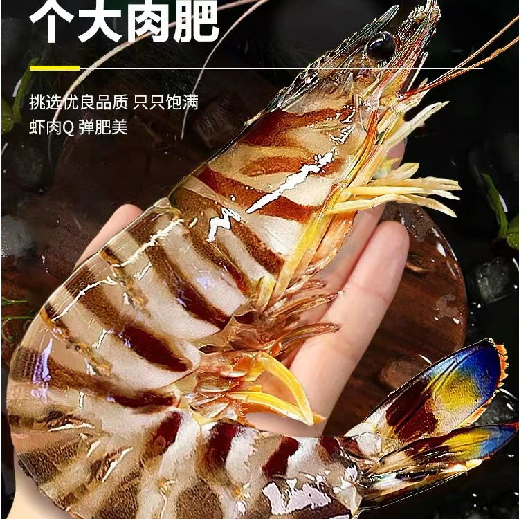 1野生海捕大号斑节虾/竹节虾/花虾（11-12只/斤）2斤装  鲜虾速冻发