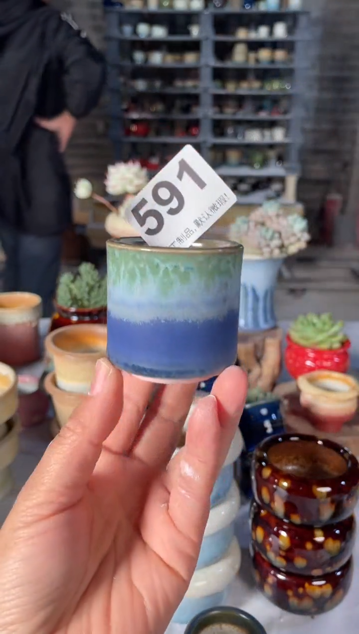 瓷片591小芳直播编号