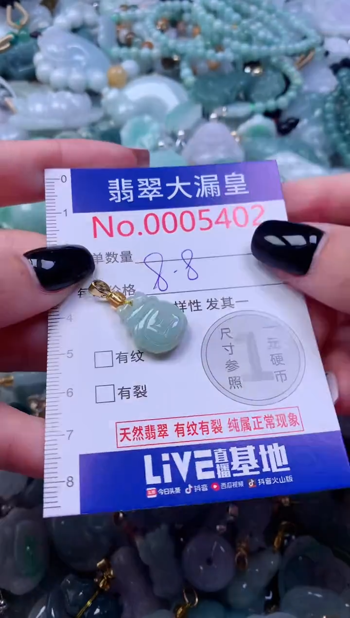 颈饰未镶嵌翡翠5402