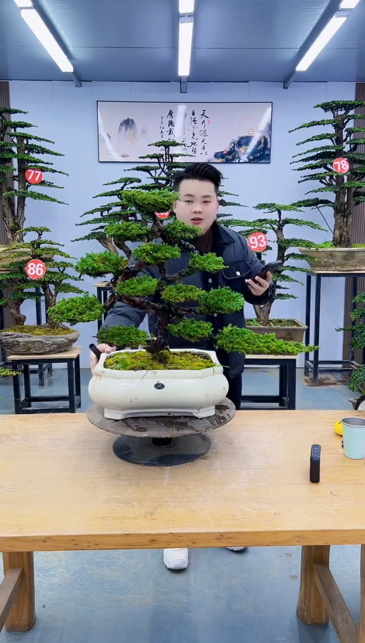 以实际为准某**…0000000000000000