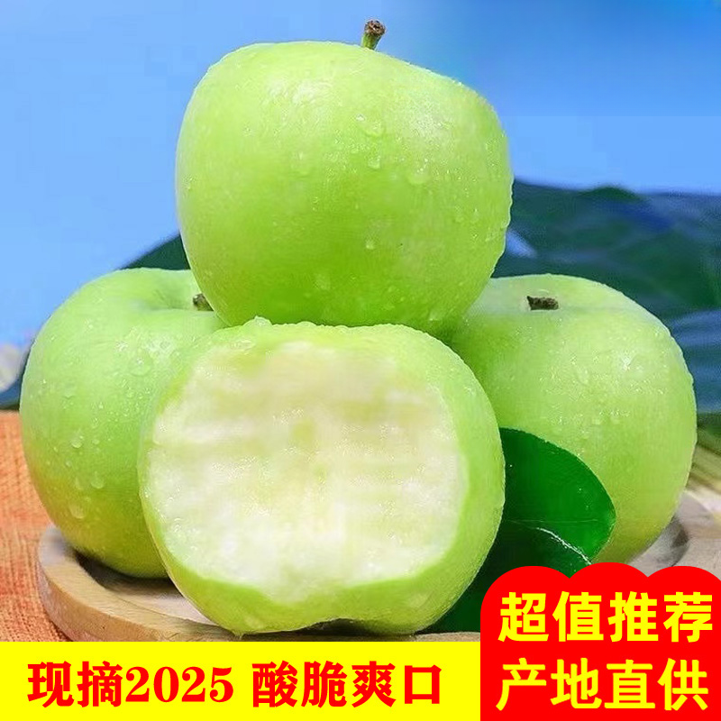 2025现摘青苹果高山丑苹果新鲜水果现摘小绿苹果好吃孕脆酸