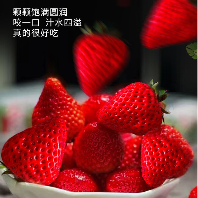 【现货秒发】丹东99草莓产地直发现摘现发九九久久红颜牛奶油顺丰包