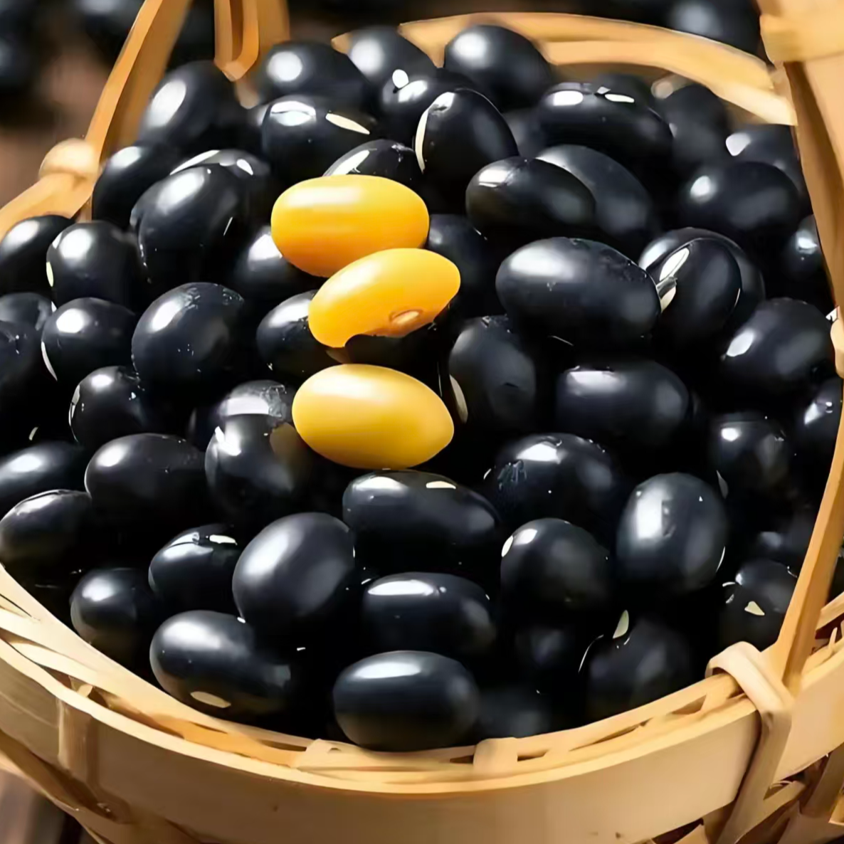 高山黑豆黄芯五谷杂粮可打豆浆生豆芽