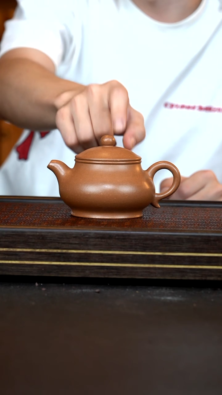 茶壶紫砂LZX沉香段潘壶240CC