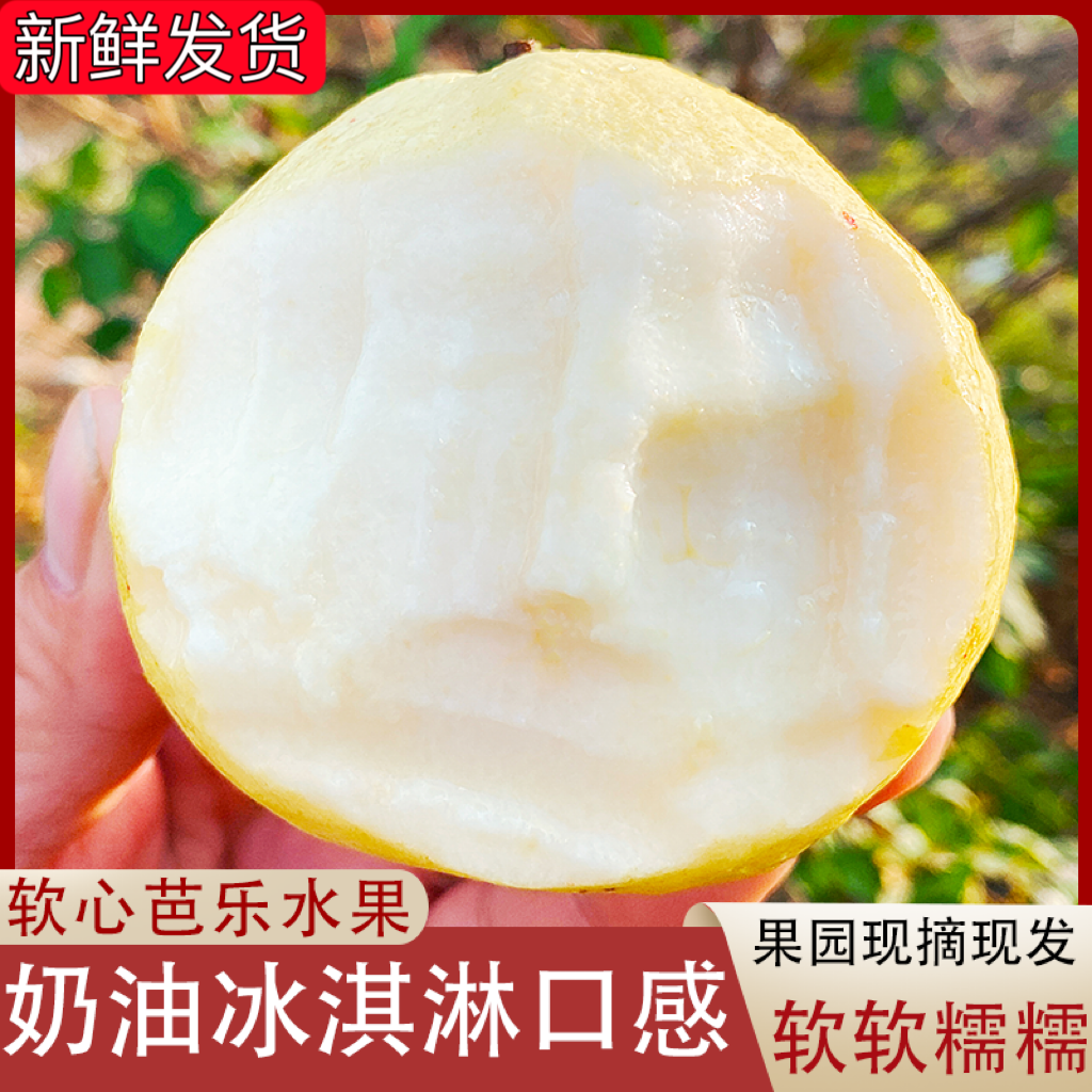 爆汁奶油芭乐果园直发网红水果同款坏果包赔低卡高维C软糯现货