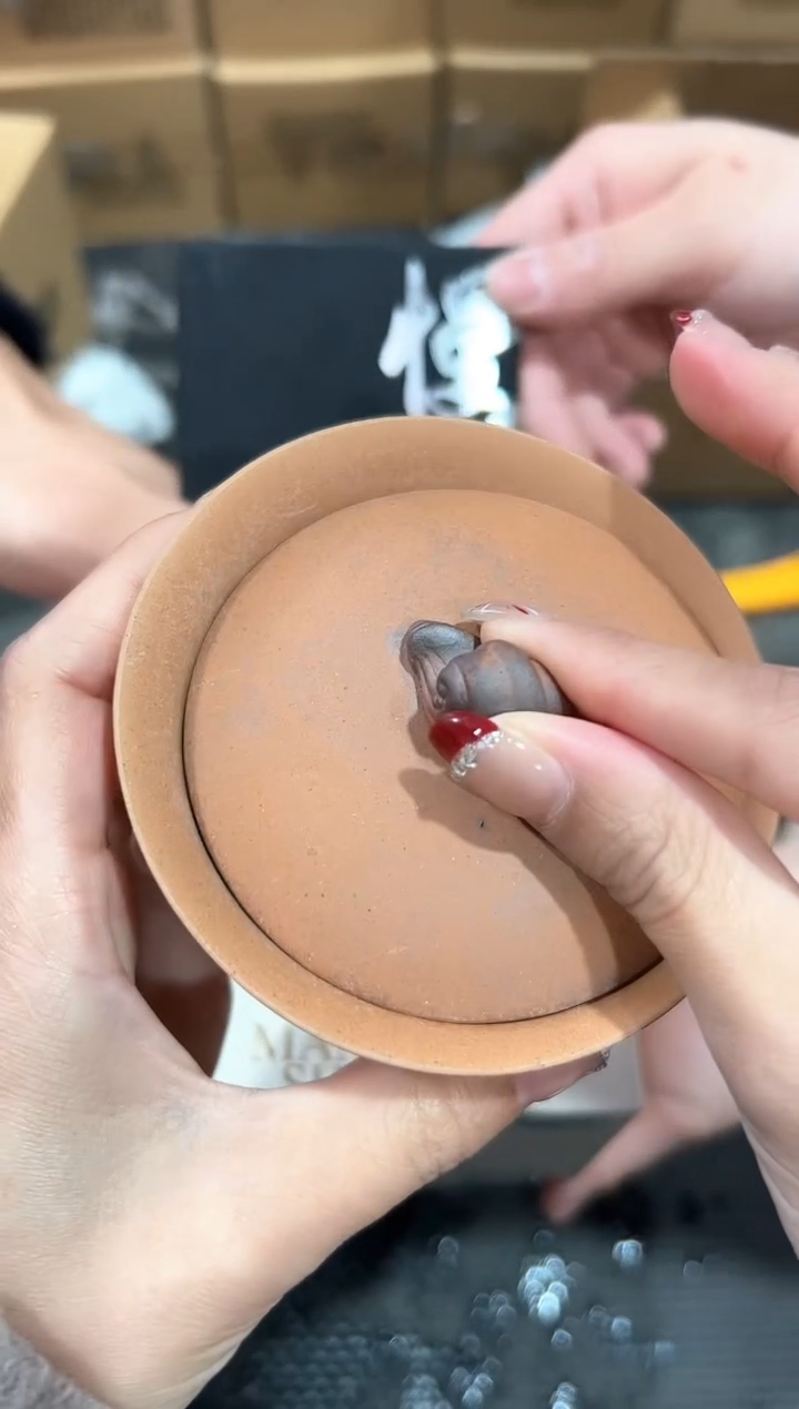【闪购商品】瓷片@@@@@@@@@@gh2251