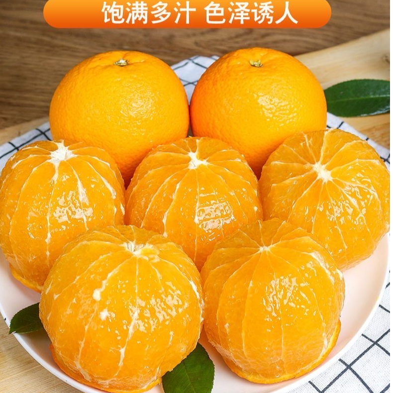 冰糖橙新鲜水果现摘现发