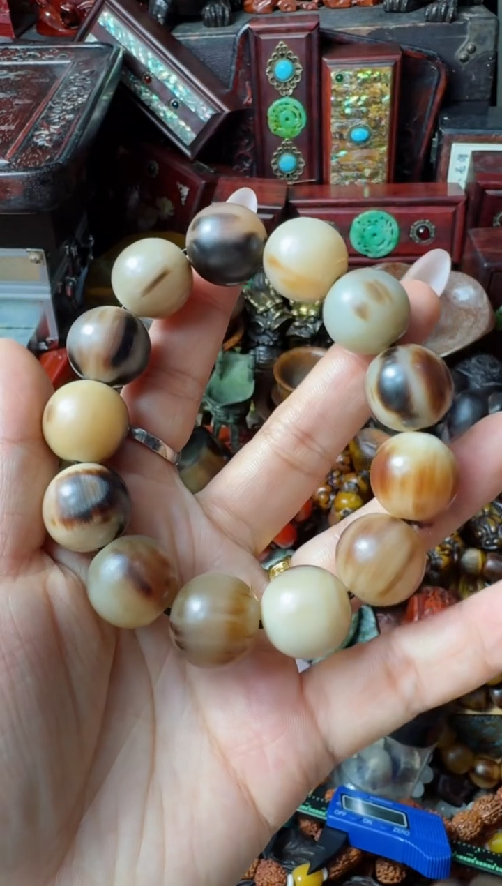 【闪购商品】牛骨手串/手链主播推荐：一物一拍，讲解为准！