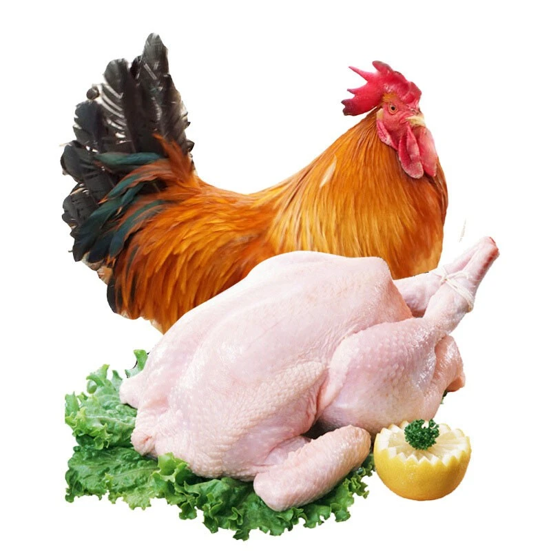 【3只公鸡】农家散养鸡大公鸡生鲜鸡肉 约2斤/只H