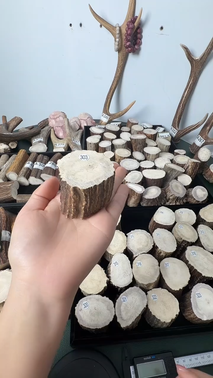 原皮鹿角雕刻料高密度