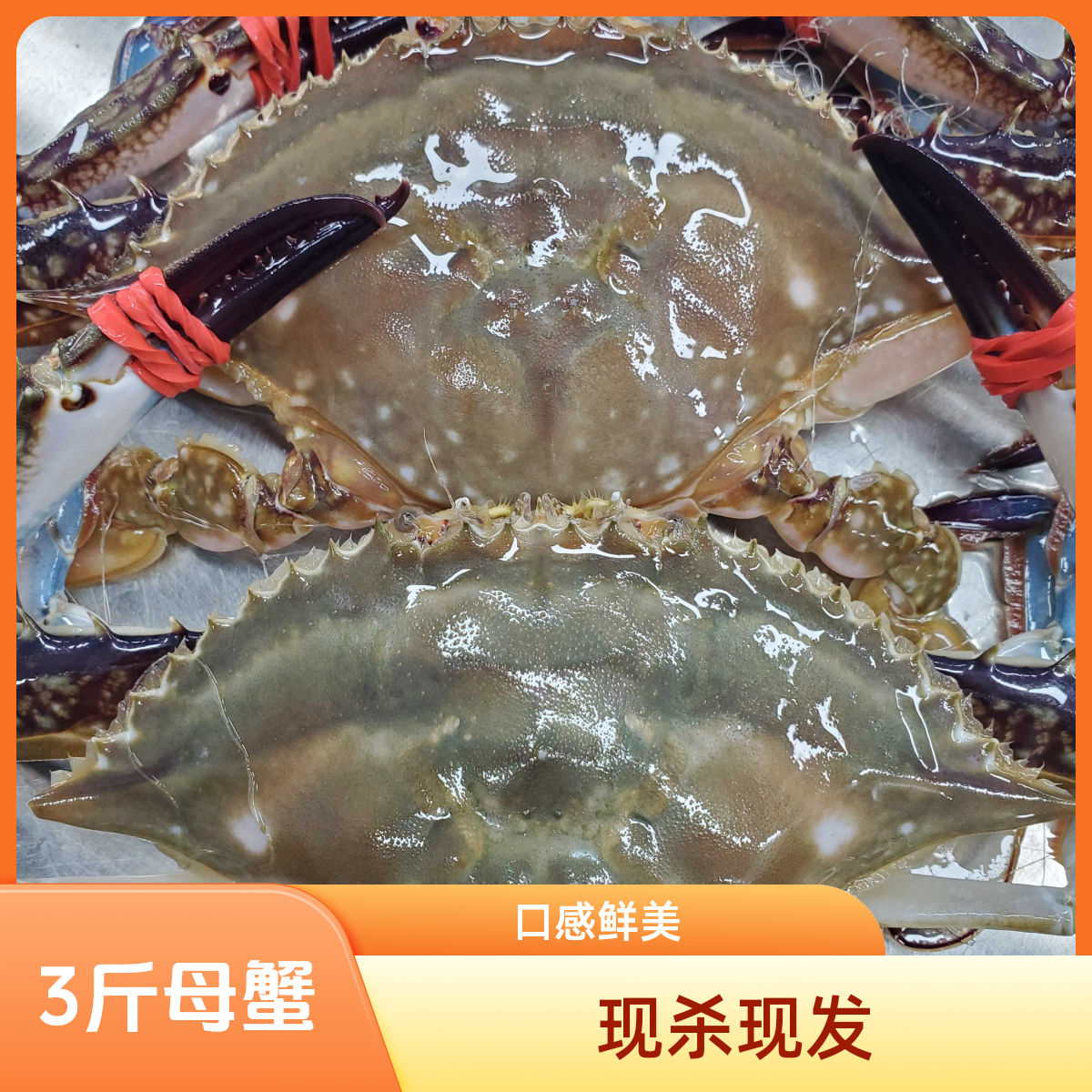 飞蟹2斤 皮皮虾2斤 组合【保鲜不保活】