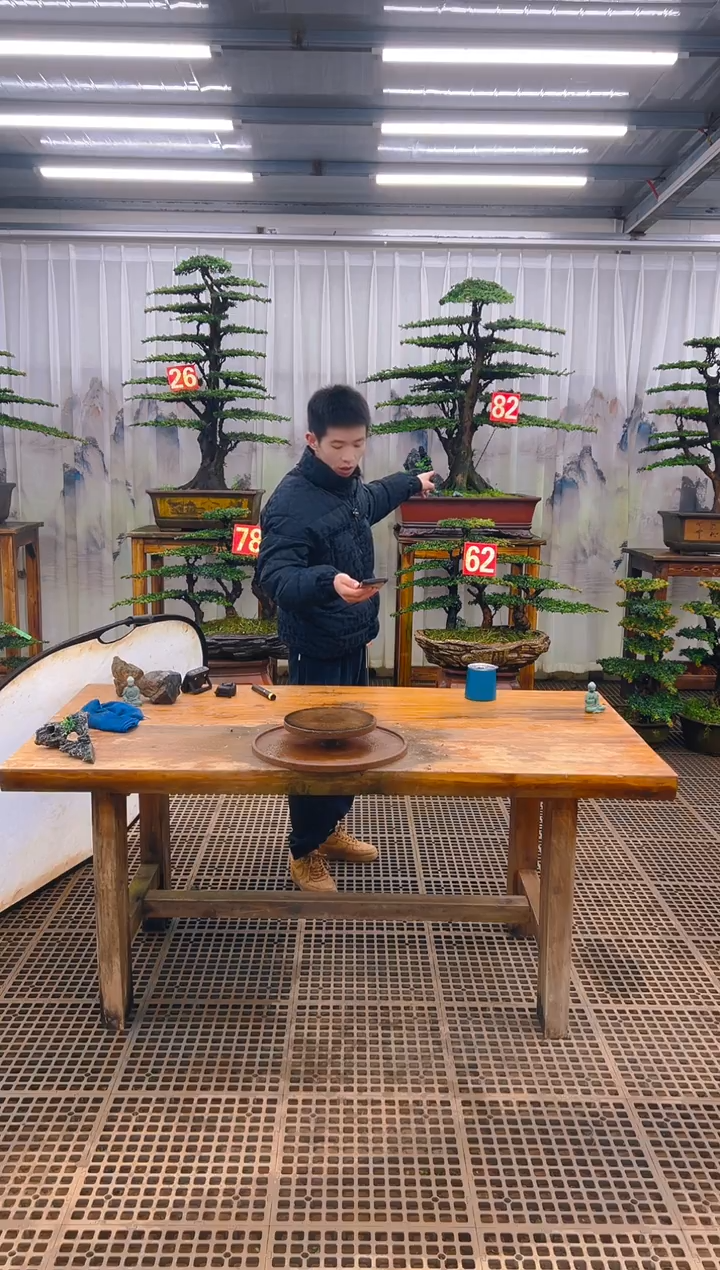 无花朵小*子精品盆景直播间一物一拍