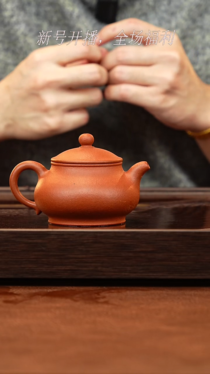 茶壶紫砂27y14赵庄老朱泥潘壶