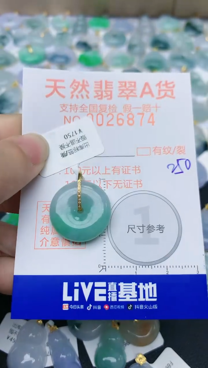 【闪购商品】翡翠颈饰18K金镶嵌天然翡翠A货    250