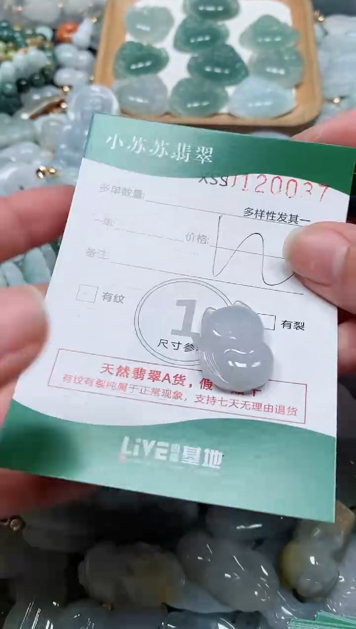 【闪购商品】翡翠颈饰未镶嵌闪购商品0120037