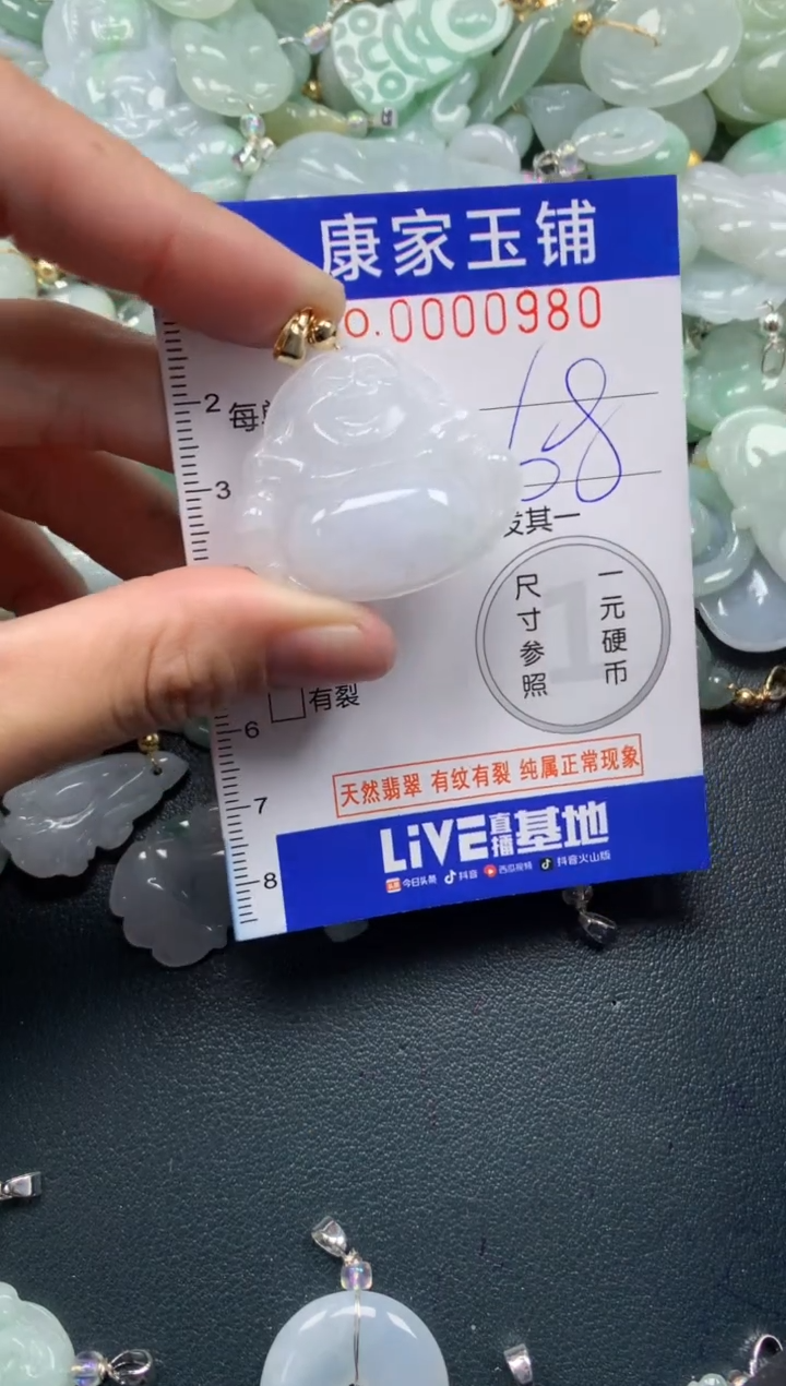 颈饰未镶嵌翡翠980