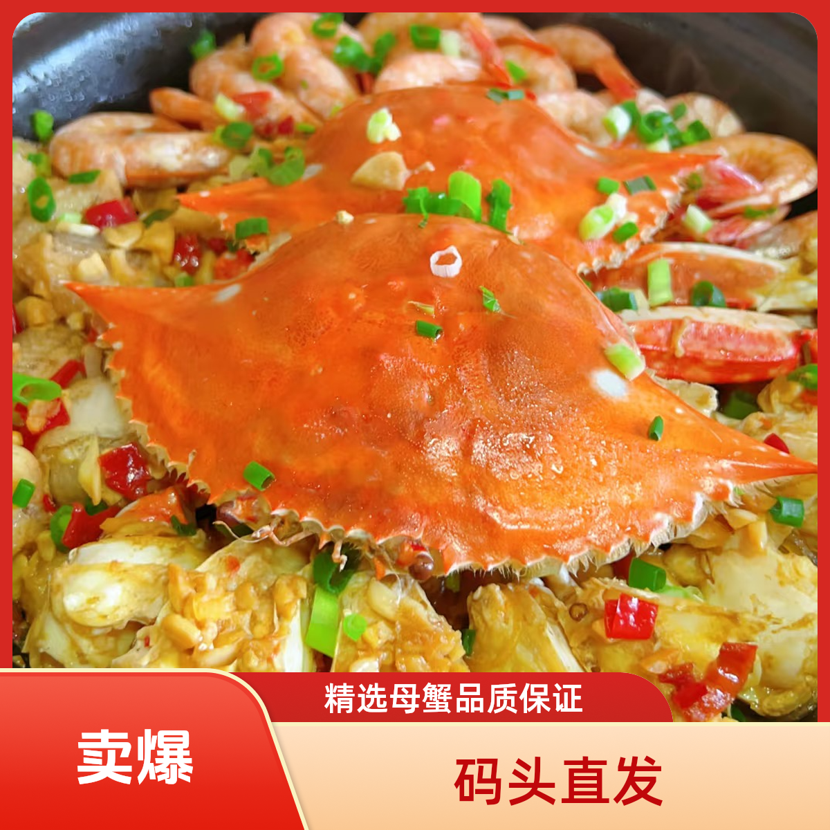 精挑母蟹 鲜活锁鲜 码头冷冻直发 2两左右/只 总重约4斤【冻蟹】