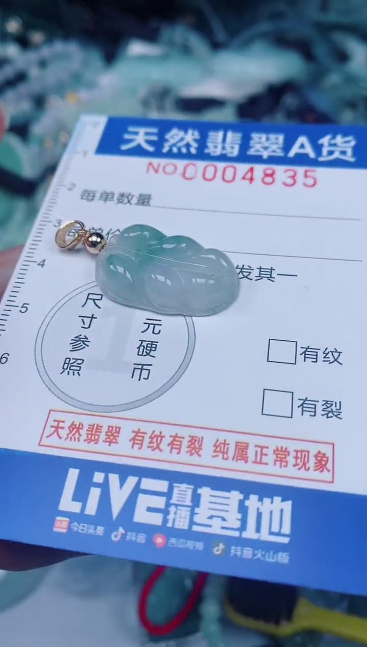 颈饰未镶嵌翡翠00004835