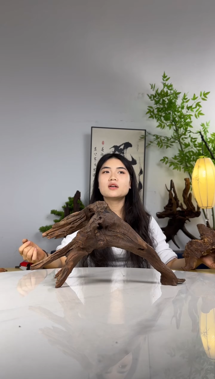 →***人拍沉木定向链接编号56