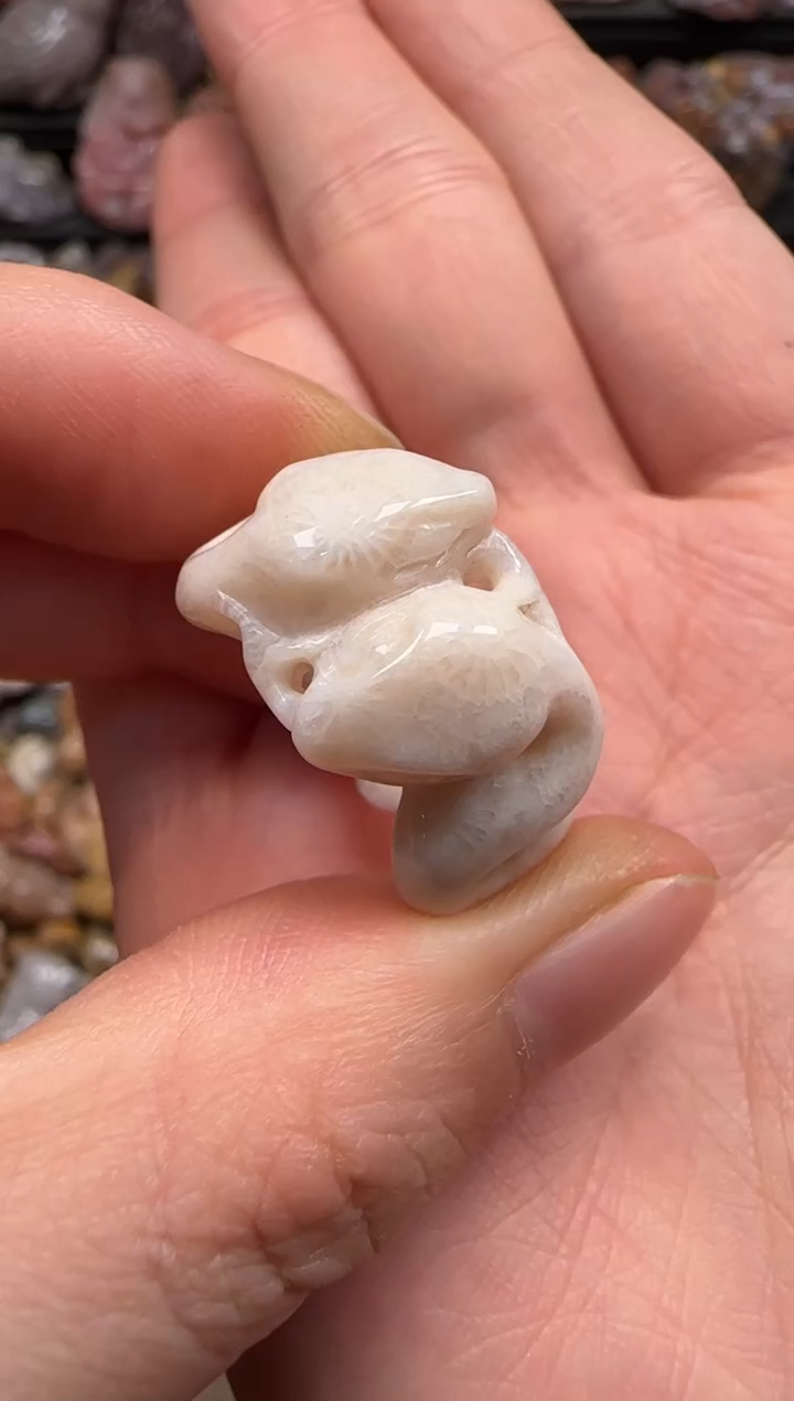 【闪购商品】硅化珊瑚（珊瑚玉）颈饰未镶嵌113