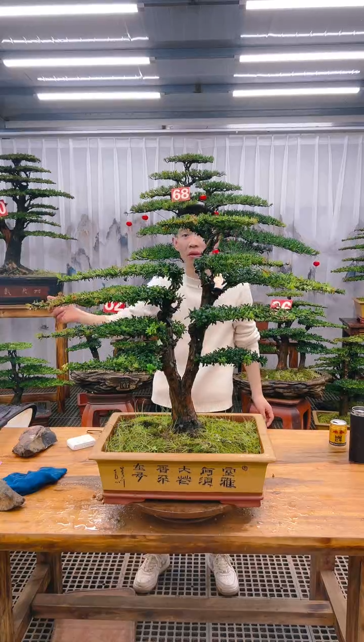 【闪购商品】紫砂精品盆景直播间一物一拍