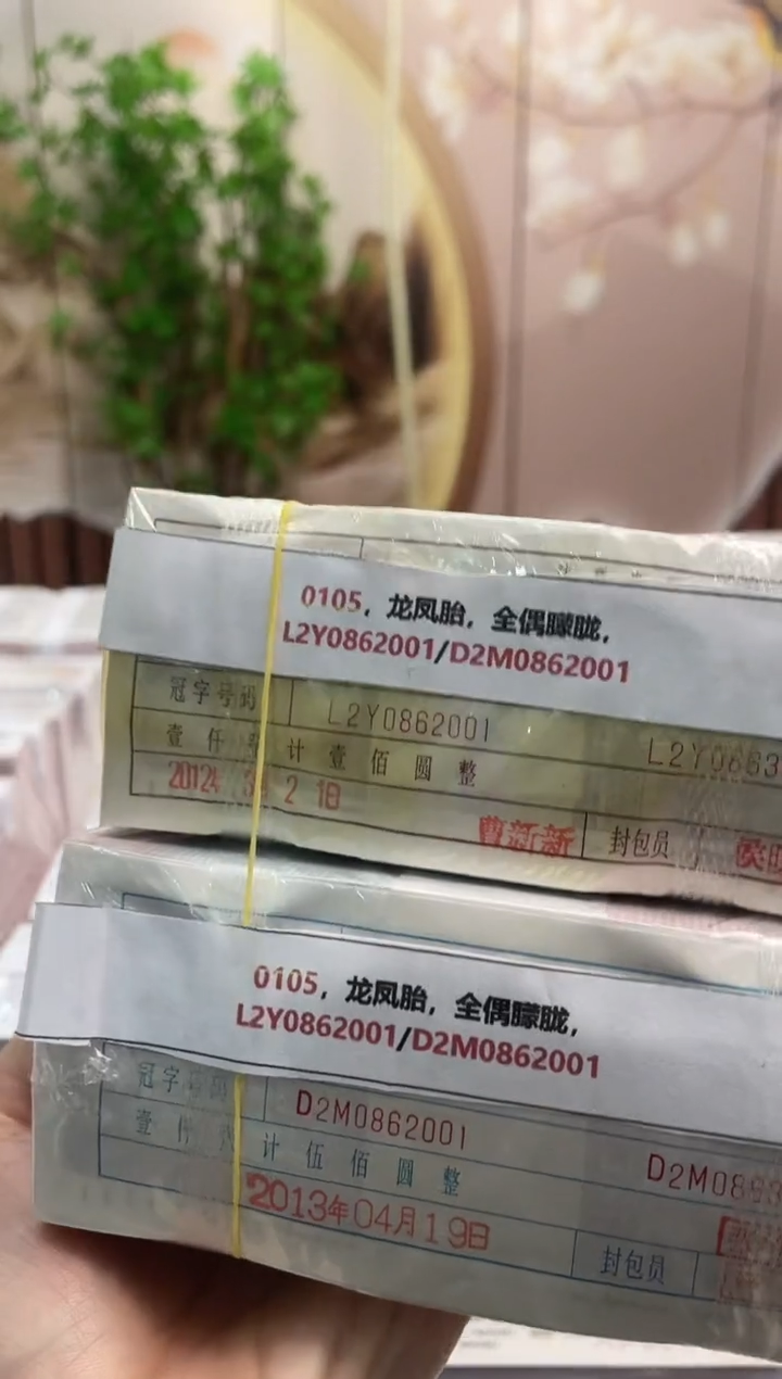 M，0105，龙凤胎，全偶朦胧，L2Y0862001/D2M0862001