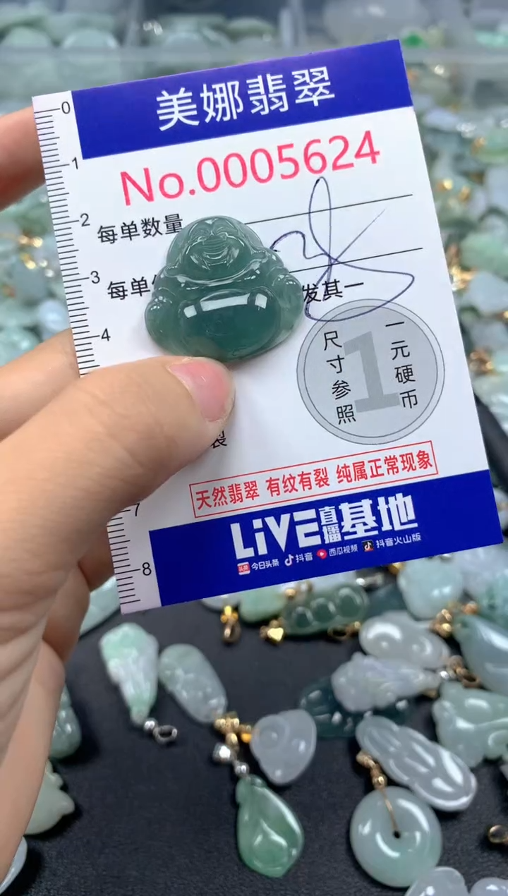 颈饰未镶嵌翡翠5624